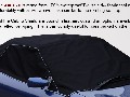 twillshieldmgf